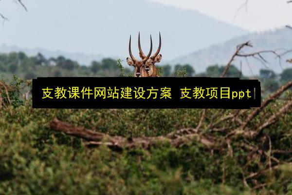 文章配图