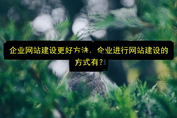 文章配图