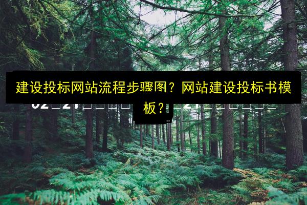文章配图