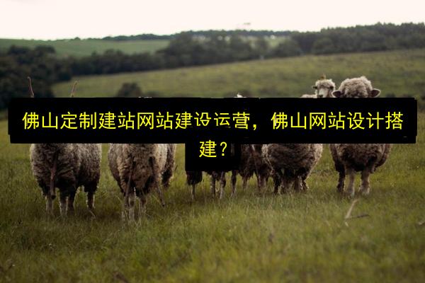 文章配图