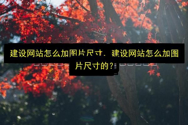 文章配图