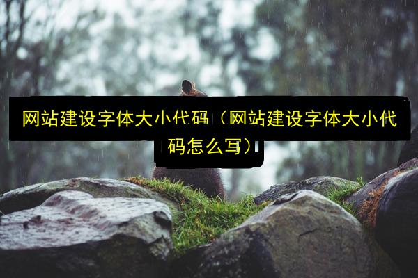 文章配图