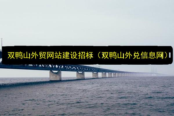 双鸭山外贸网站建设招标(双鸭山外兑信息网)插图 文章配图