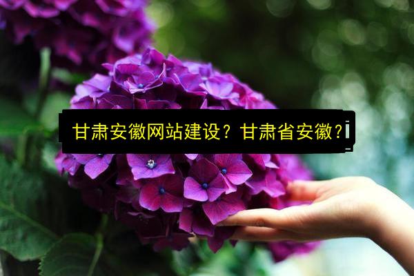 甘肃安徽网站建设?甘肃省安徽?插图 文章配图