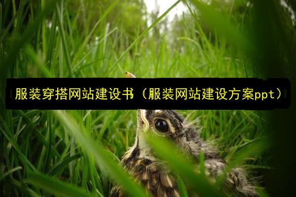 文章配图