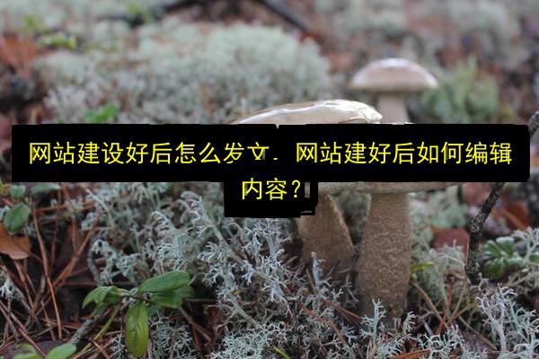 文章配图