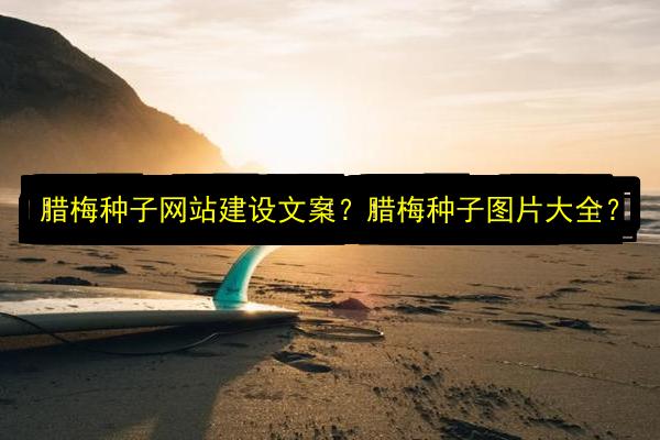 文章配图