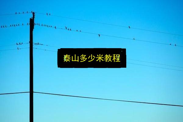 泰山多少米教程插图 文章配图