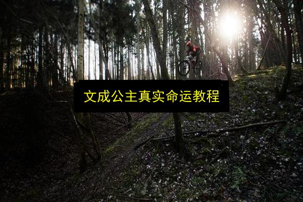 文成公主真实命运教程插图 文章配图
