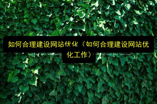 如何合理建设网站优化(如何合理建设网站优化工作)插图 文章配图