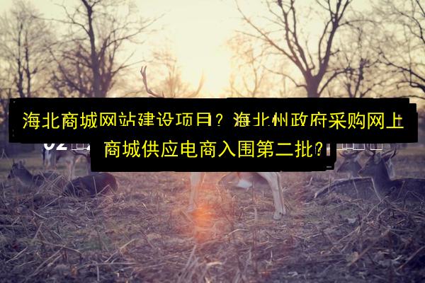 文章配图