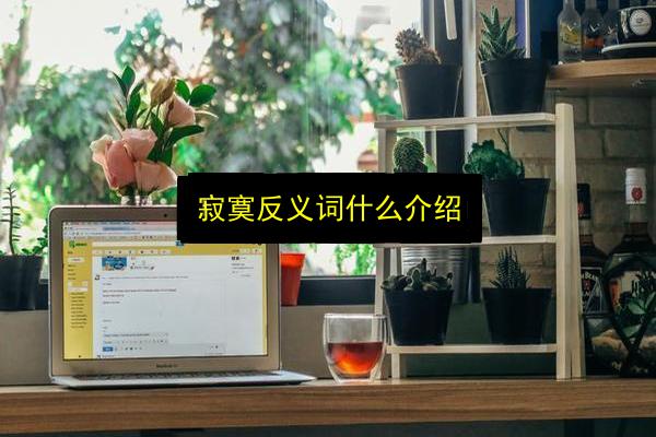 寂寞反义词什么介绍插图 文章配图