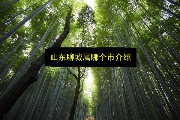 山东聊城属哪个市介绍插图 文章配图