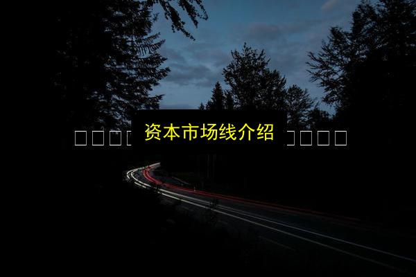 资本市场线介绍插图 文章配图