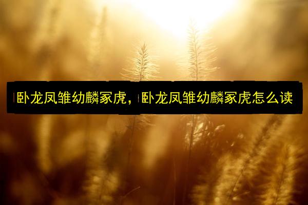 文章配图