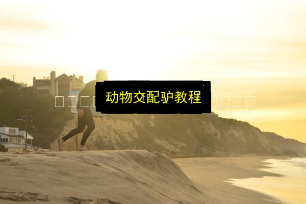 文章配图