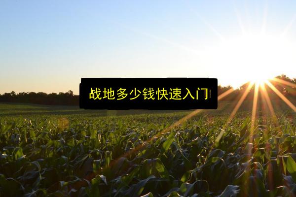 文章配图