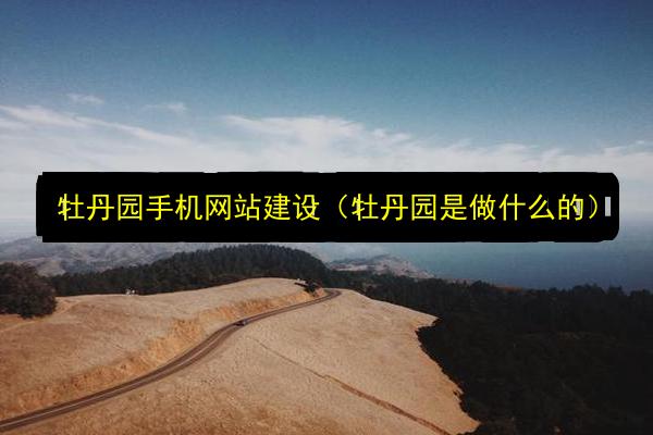 文章配图