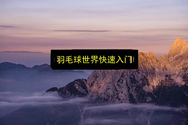 文章配图