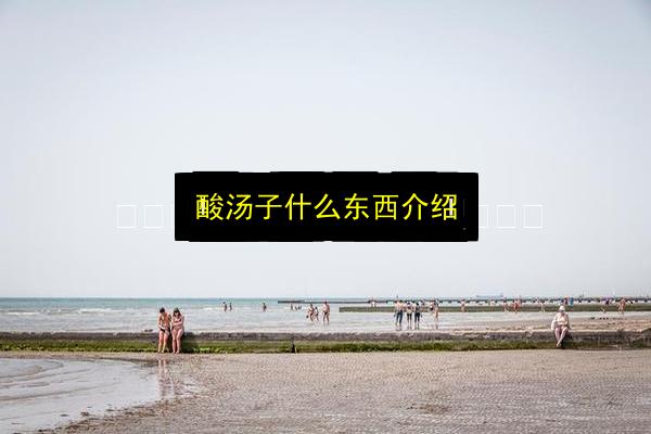 酸汤子什么东西介绍插图 文章配图