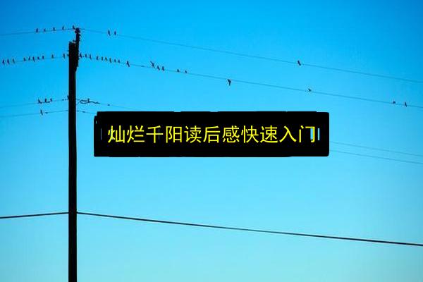 文章配图