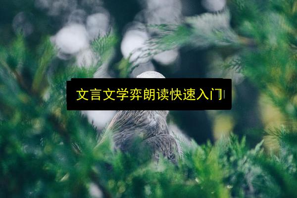 文章配图