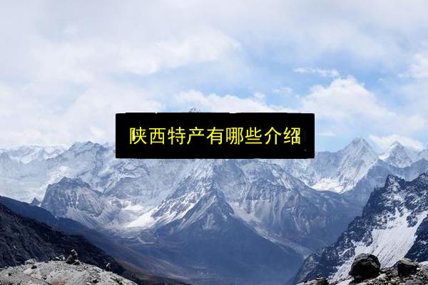 陕西特产有哪些介绍插图 文章配图