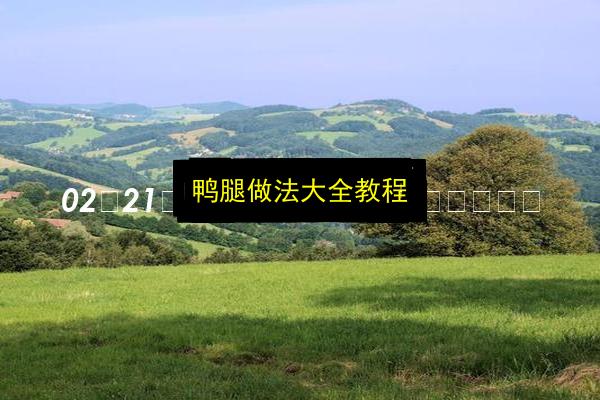 鸭腿做法大全教程插图 文章配图
