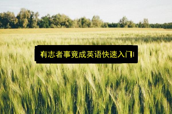 文章配图