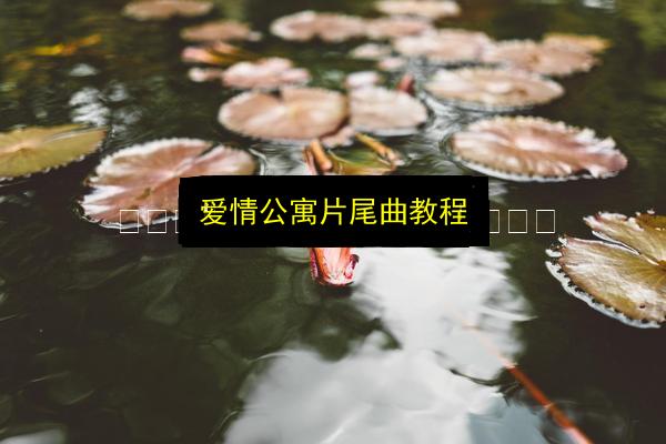 文章配图