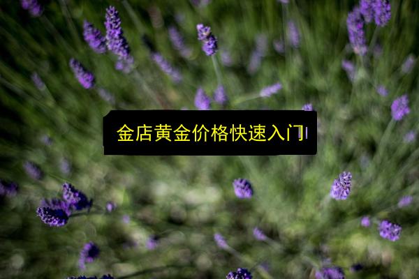 金店黄金价格快速入门插图 文章配图