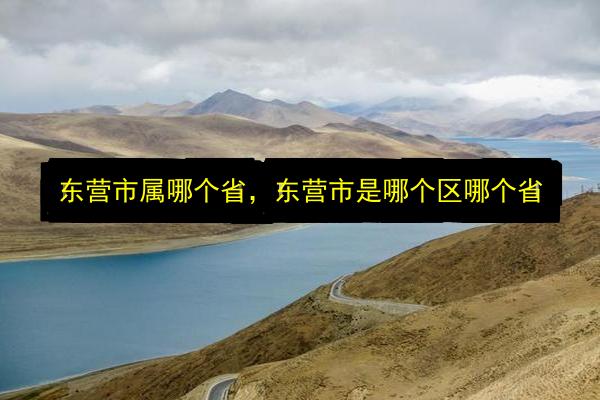 东营市属哪个省,东营市是哪个区哪个省插图 文章配图
