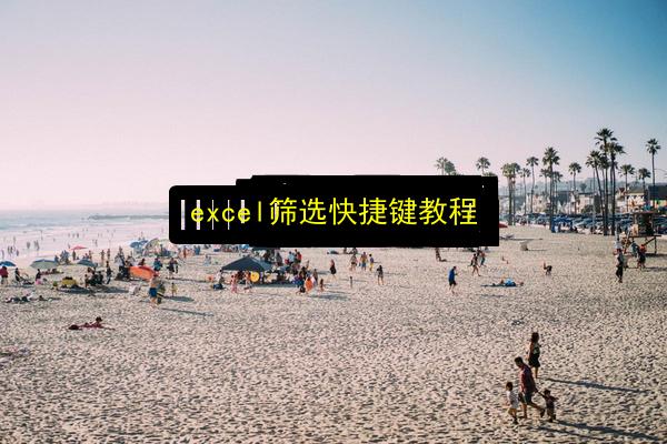 excel筛选快捷键教程插图 文章配图