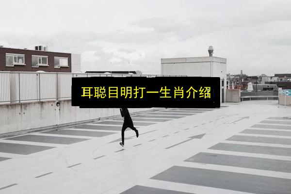文章配图