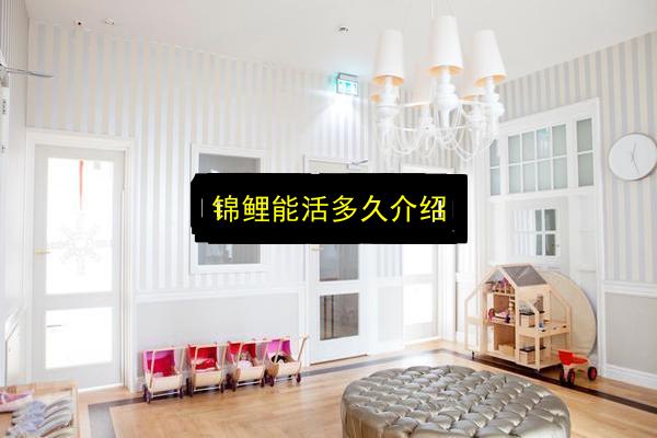 锦鲤能活多久介绍插图 文章配图