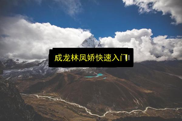 成龙林凤娇快速入门插图 文章配图