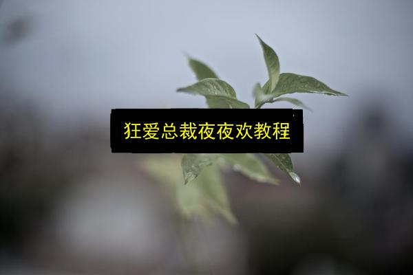 文章配图
