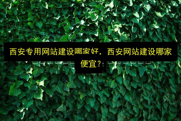 文章配图