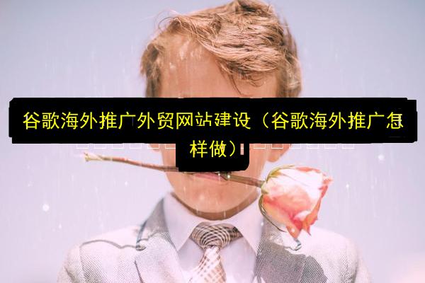 谷歌海外推广外贸网站建设(谷歌海外推广怎样做)插图 文章配图
