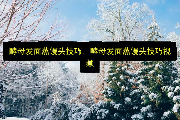 酵母发面蒸馒头技巧,酵母发面蒸馒头技巧视频插图 文章配图
