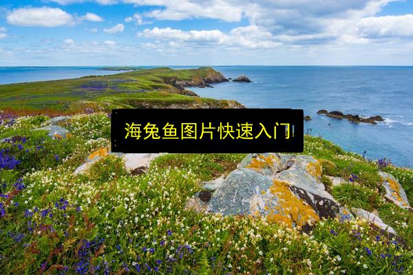 海兔鱼图片快速入门插图 文章配图