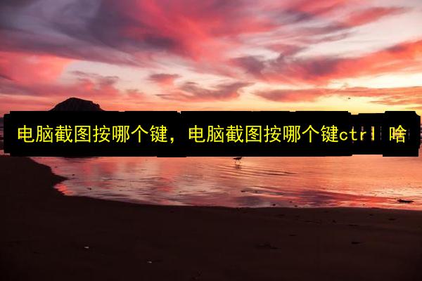 文章配图