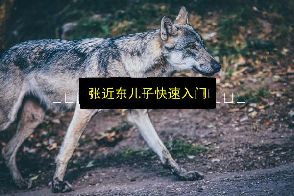 文章配图