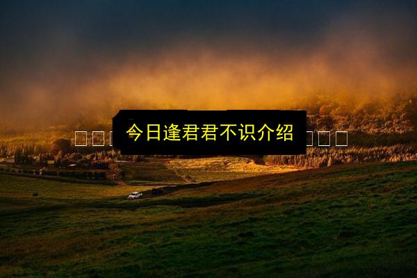 文章配图