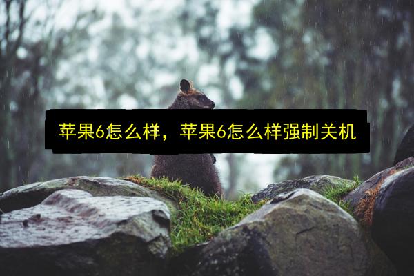 苹果6怎么样,苹果6怎么样强制关机插图 文章配图