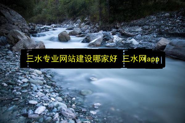 三水专业网站建设哪家好 三水网app插图 文章配图
