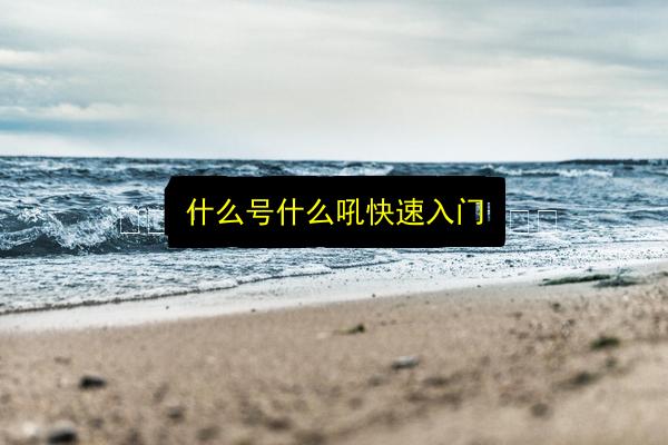 文章配图