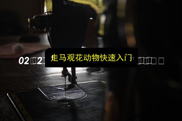 文章配图