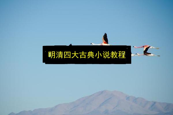 文章配图