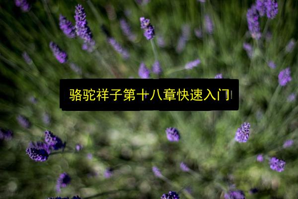 文章配图